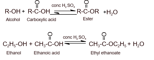 esterification reaction