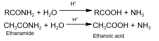 hydrolysis of acid amide hydrolysis of acid amide