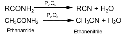 dehydration of acid amide dehydration of acid amide