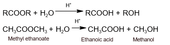 hydrolysis of ester hydrolysis of ester