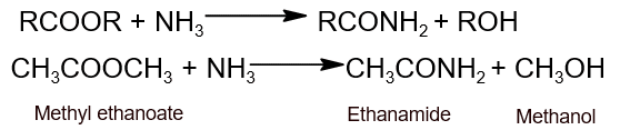 ammonolysis of ester ammonolysis of ester