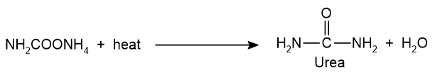 decomposition of ammonium carbamate