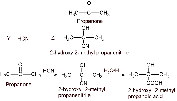 11 b ii solution reactions