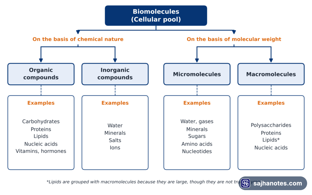 biomolecules and carbohydrates Classification tree of biomolecules into organic and inorganic compounds, and into micromolecules and macromolecules, with examples.