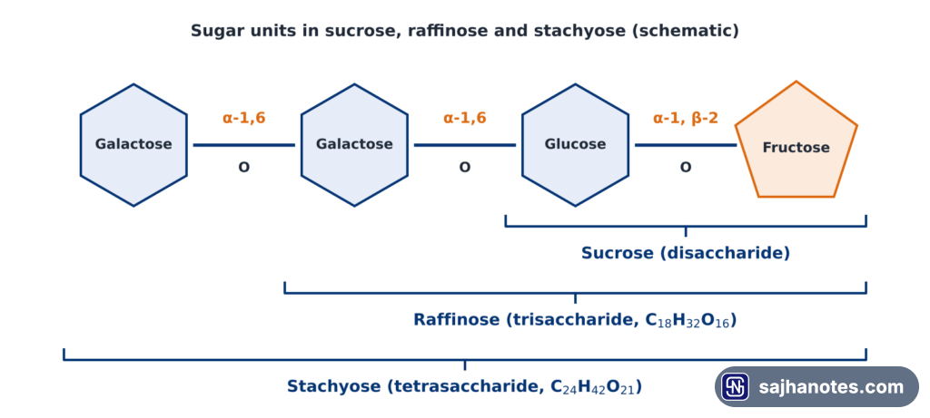 Schematic of galactose, galactose, glucose and fructose units showing how sucrose, raffinose and stachyose are built.